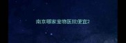 南京哪家宠物医院便宜