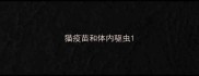 猫疫苗和体内驱虫