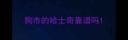 狗市的哈士奇靠谱吗