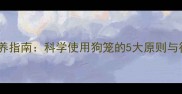 边境牧羊犬饲养指南科学使用狗笼的5大原则与行为管理方案