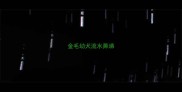 金毛幼犬流水鼻涕