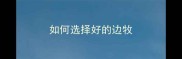 如何选择好的边牧