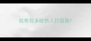 拉布拉多咬伤人打疫苗