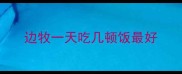 边牧一天吃几顿饭最好