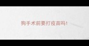 狗手术前要打疫苗吗