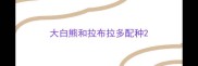 大白熊和拉布拉多配种