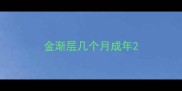 金渐层几个月成年