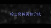哈士奇种类和价钱