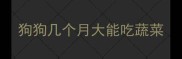 狗狗几个月大能吃蔬菜