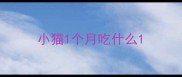 小猫1个月吃什么