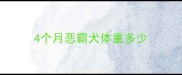 4个月恶霸犬体重多少