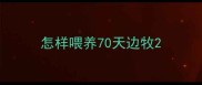 怎样喂养70天边牧