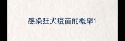 感染狂犬疫苗的概率