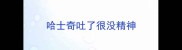 哈士奇吐了很没精神