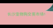 长沙宠物狗交易市场