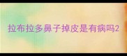 拉布拉多鼻子掉皮是有病吗