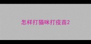 怎样打猫咪打疫苗