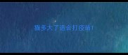 猫多大了适合打疫苗