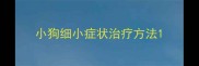 小狗细小症状治疗方法