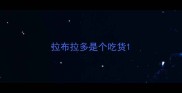 拉布拉多是个吃货