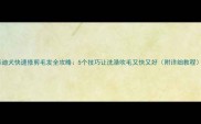泰迪犬快速修剪毛发全攻略5个技巧让洗澡吹毛又快又好附详细教程