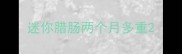 迷你腊肠两个月多重