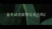 金毛幼犬能带出去玩吗