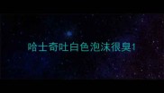哈士奇吐白色泡沫很臭