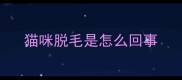 猫咪脱毛是怎么回事