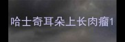 哈士奇耳朵上长肉瘤