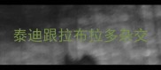 泰迪跟拉布拉多杂交