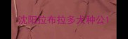 沈阳拉布拉多犬种公