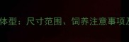 成年公边牧标准体型尺寸范围饲养注意事项及健康评估指南
