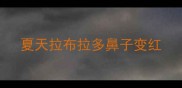 夏天拉布拉多鼻子变红