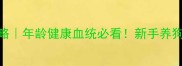 拉布拉多配种全攻略年龄健康血统必看新手养狗必收藏宠物医生