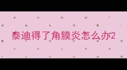 泰迪得了角膜炎怎么办