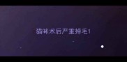 猫咪术后严重掉毛