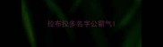 拉布拉多名字公霸气