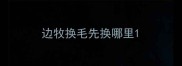边牧换毛先换哪里