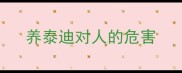 养泰迪对人的危害