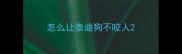 怎么让泰迪狗不咬人