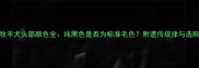 边境牧羊犬头部颜色全纯黑色是否为标准毛色附遗传规律与选购指南