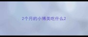 2个月的小博美吃什么