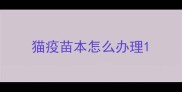 猫疫苗本怎么办理