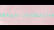 狗狗抗拒牵引绳怎么办3步训练法让TA主动戴绳出门