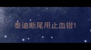 泰迪断尾用止血钳