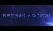 拉布拉多配什么颜色的好
