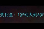 哈士奇1-6岁颜值变化全1岁幼犬到6岁成犬的美丽密码