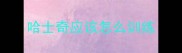 哈士奇应该怎么训练