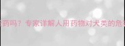 狗狗能吃人的消炎药吗专家详解人用药物对犬类的危害与安全用药指南